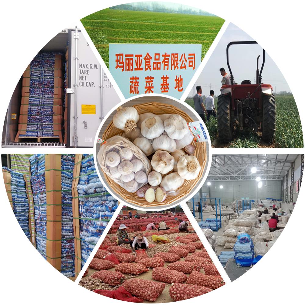 Ķiploku plūsmas diagramma photo1